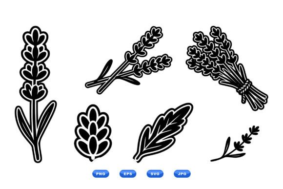 Lavender Botanical SVG Clipart Review