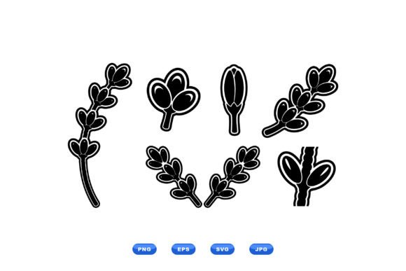 Lavender Buds SVG Clipart Review